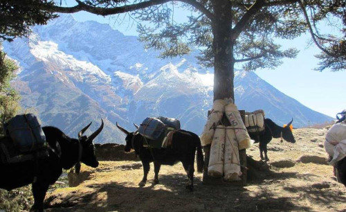 Alternatieve Routes voor de Everest Base Camp Trek