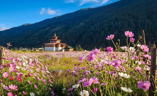 Bhutan in oktober: weer, festivals, trekking & reisgids