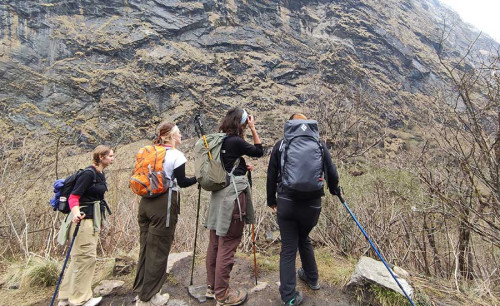 Is de Annapurna Base Camp Trek Geschikt voor Beginners?