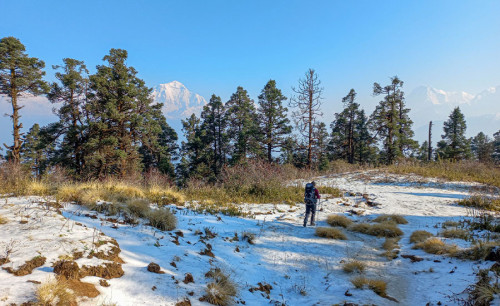 Khopra Danda Trek | Ontdek de ongerepte schoonheid van Annapurna