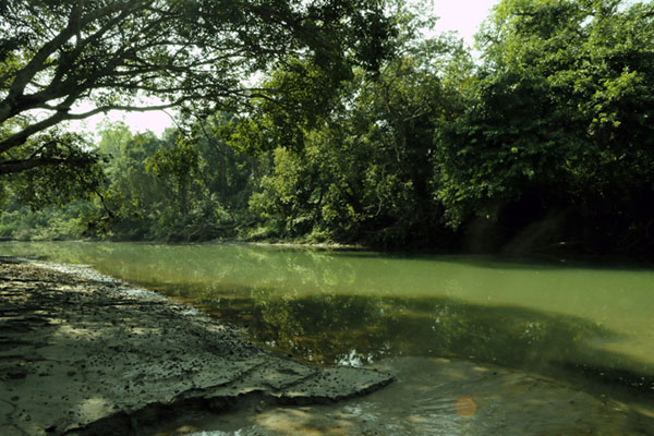 Rara Lake Trek - A Hidden Paradise in Nepal