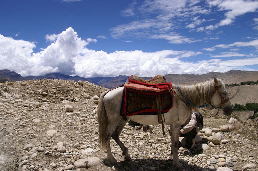 Upper Mustang Tiji Festival Jeep Tour 2026