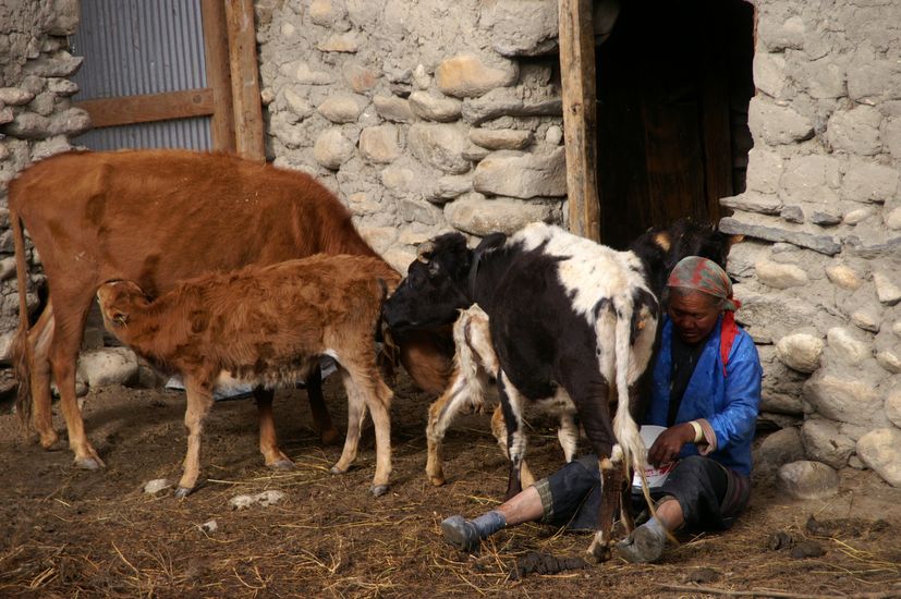 Upper Mustang Tiji Festival Jeep Tour 2026