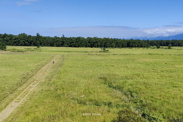 Kathmandu Valley Trek met Bardia National Park