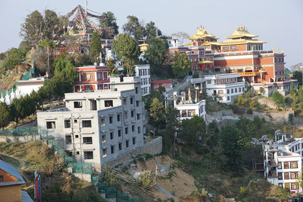 Kathmandu Valley Trek met Bardia National Park