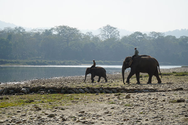 2 nachten 3 dagen Chitwan Jungle Safari Nepal