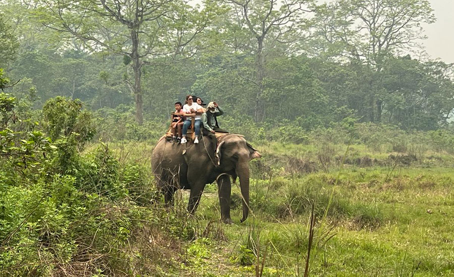 Junglesafari in Nepal