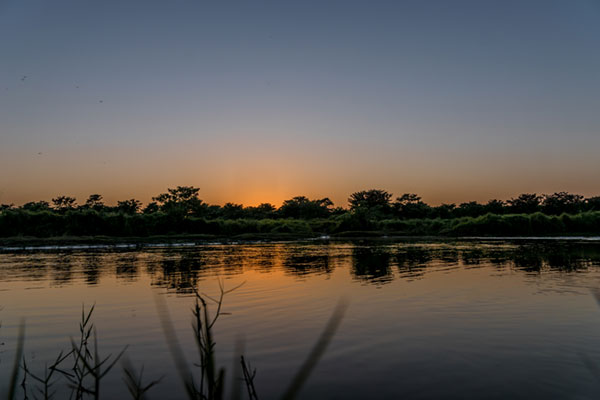 Namaste Nepal Deluxe